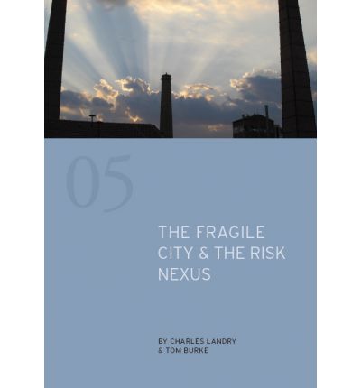 fragile city & risk nexus